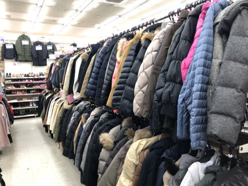 19年11月11日：画像６