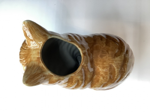 21年10月02日：画像７