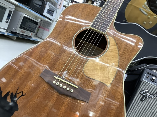 楽器のエレアコギター