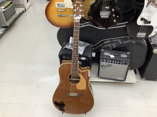 エレアコギターのibanez