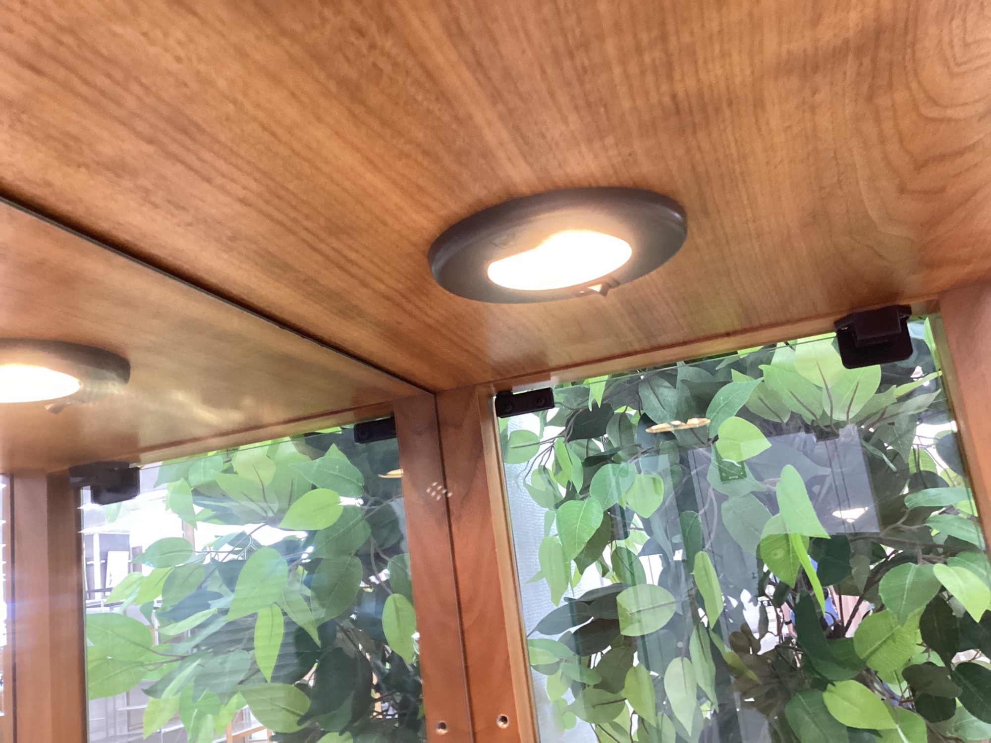 東木工】シンプルで高級感のある使い勝手の良いキュリオケース（Leaf