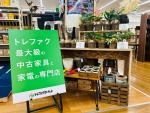 育てる楽しさ】トレファクマーケット久喜店、生木の観葉植物販売 育てる楽しさ】トレファクマーケット久喜店、生木の観葉植物販売