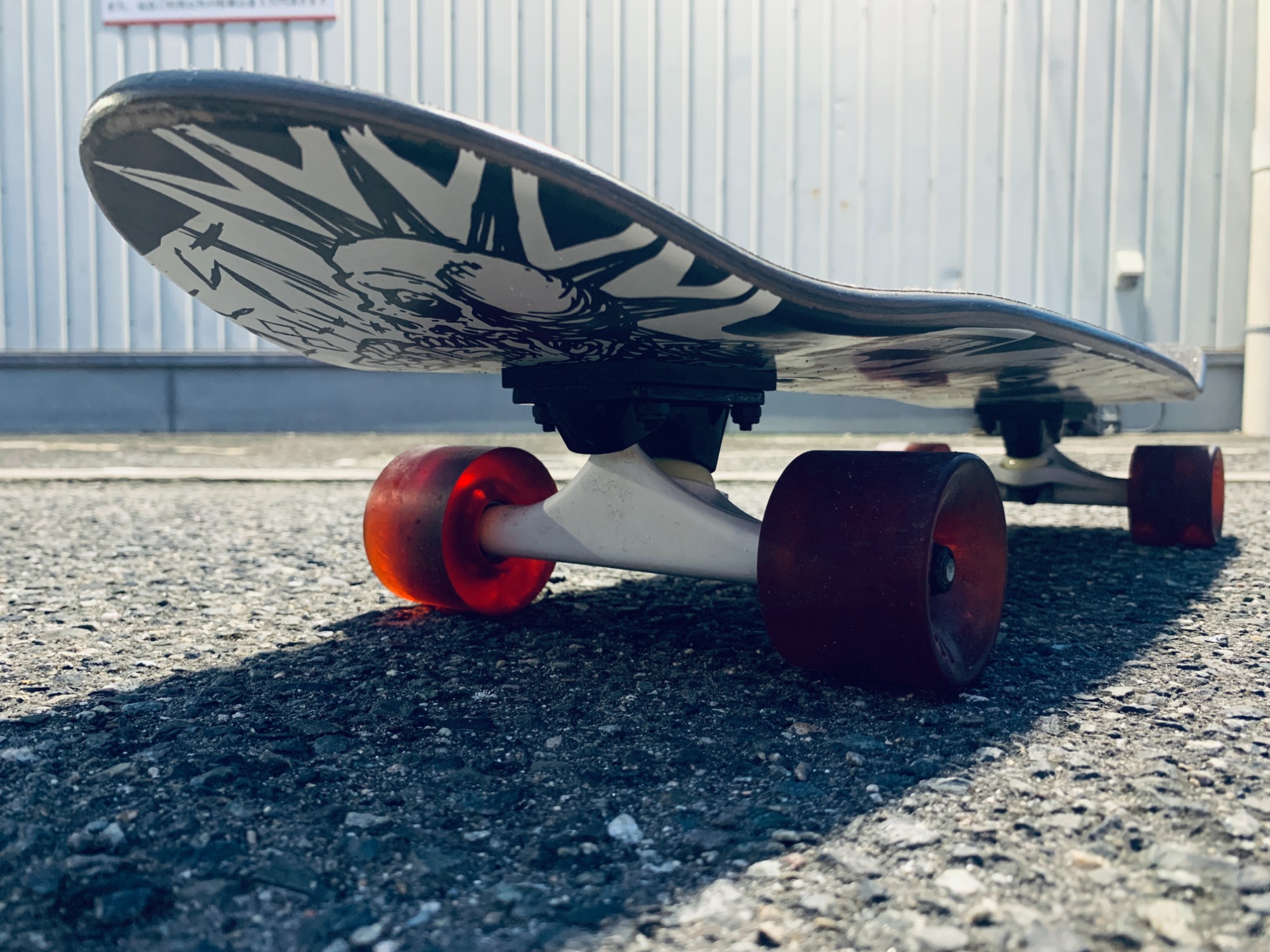 SANTA CRUZ×Pabst Blue Ribbonのスケートボードのご紹介です！｜2024年