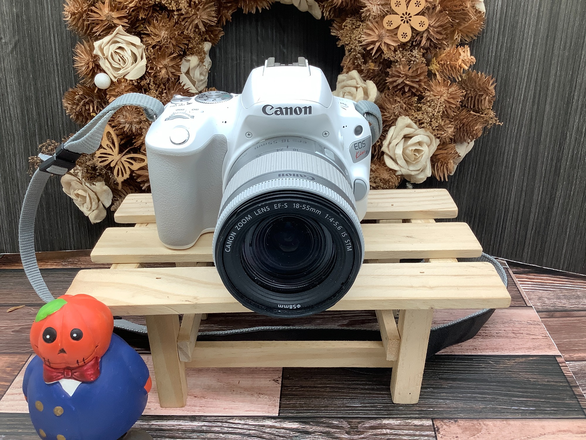 もみじ狩りのおともに連れていきたくなるCanonデジタル一眼レフカメラ 