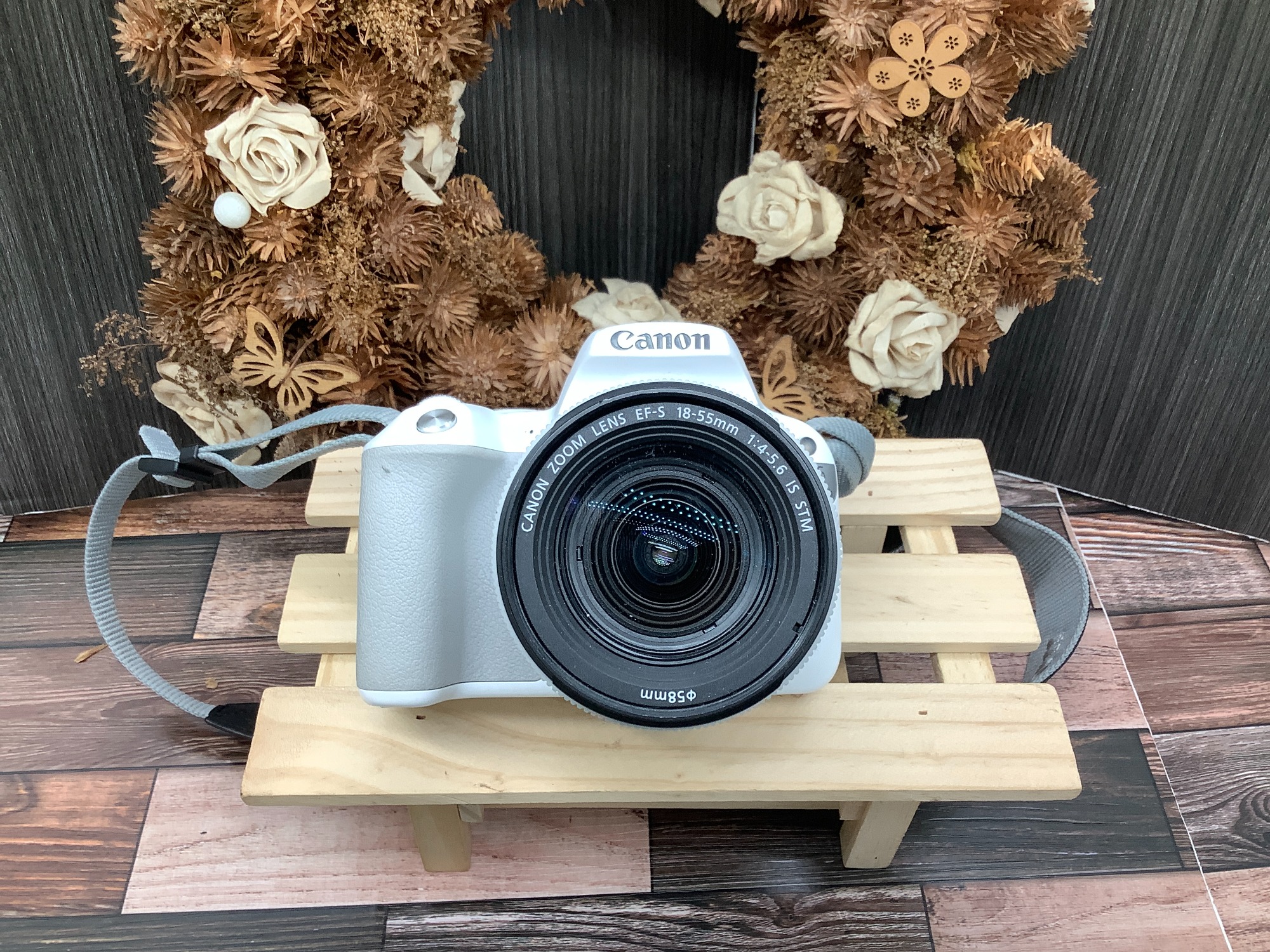 もみじ狩りのおともに連れていきたくなるCanonデジタル一眼レフカメラ 