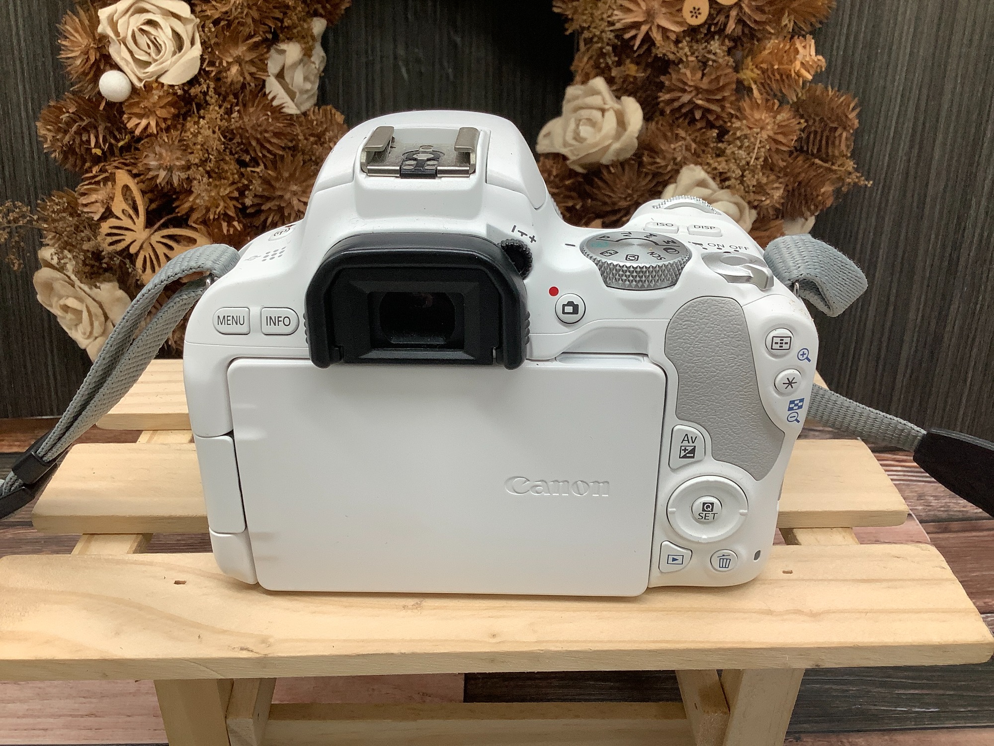 もみじ狩りのおともに連れていきたくなるCanonデジタル一眼レフカメラ