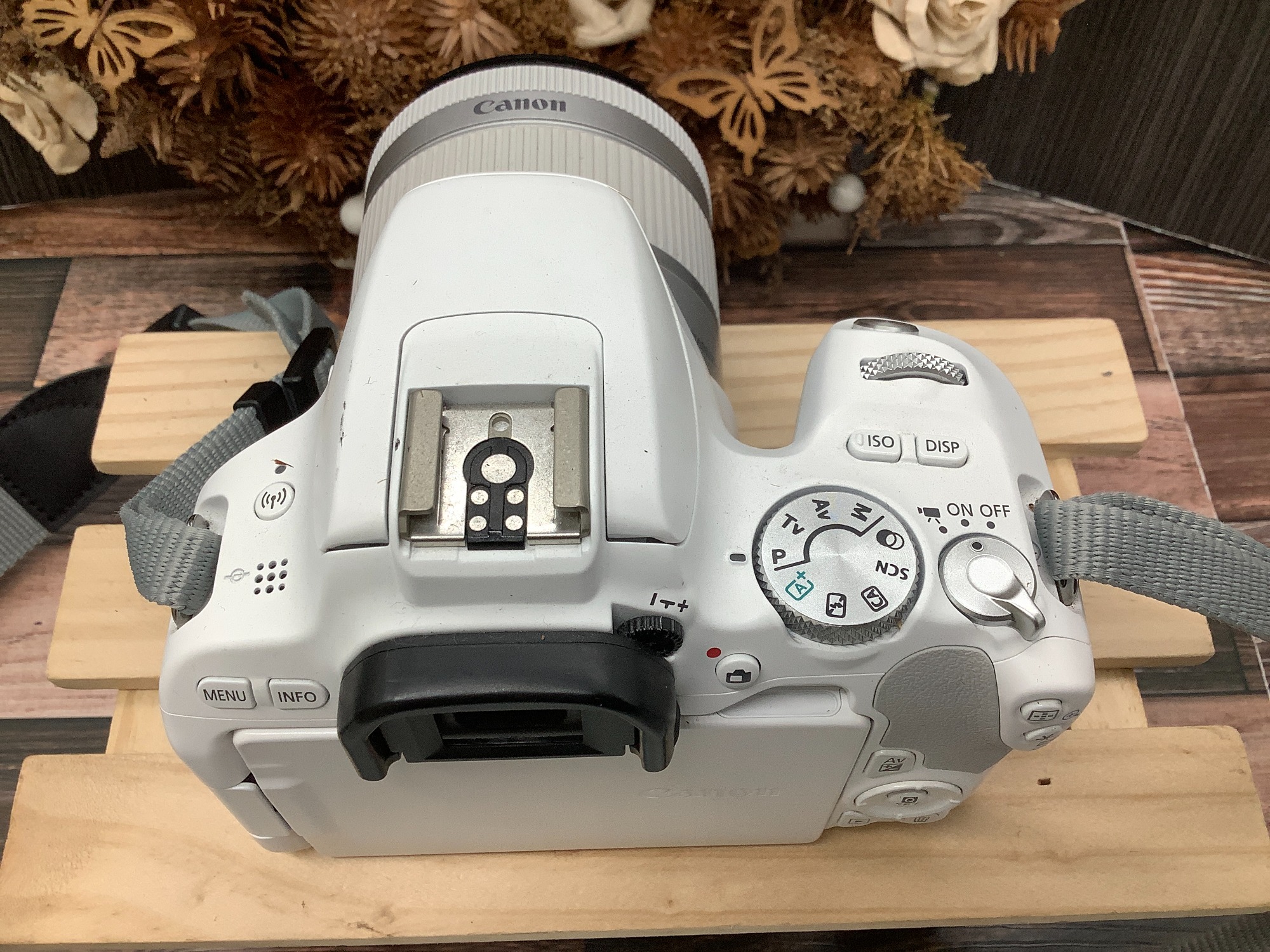 もみじ狩りのおともに連れていきたくなるCanonデジタル一眼レフカメラ 