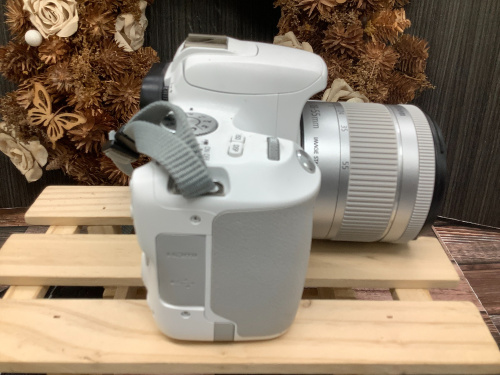 もみじ狩りのおともに連れていきたくなるCanonデジタル一眼レフカメラ