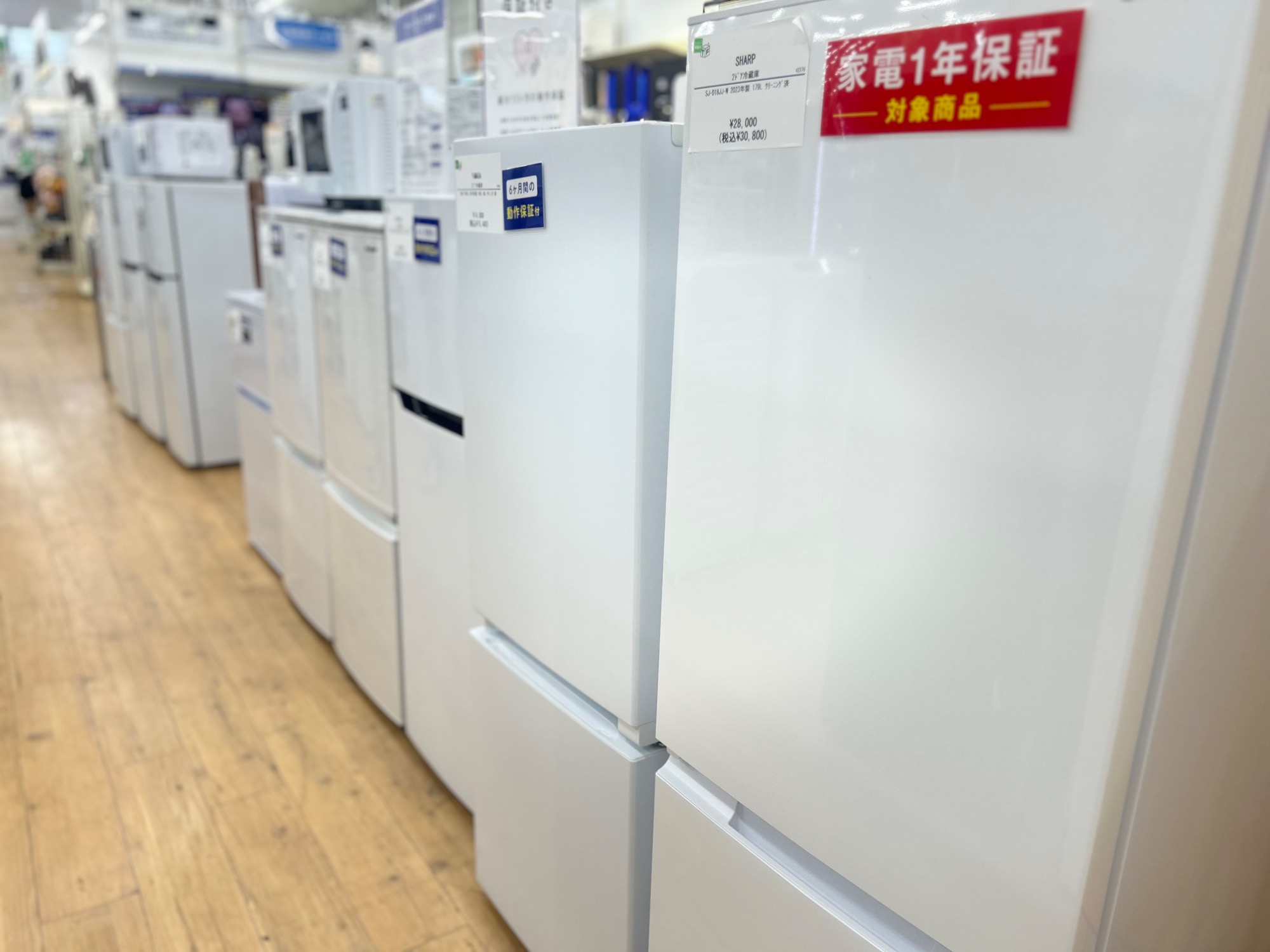 トレファク松原店】SHARP 全自動洗濯機のご紹介です！