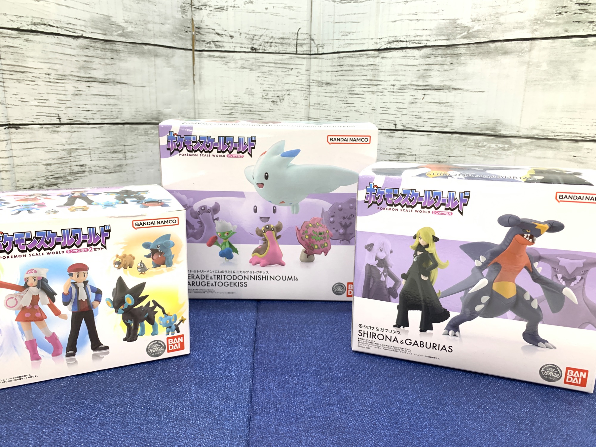 ポケモンスケールワールド】シロナ＆ガブリアスのご紹介です｜2025年11