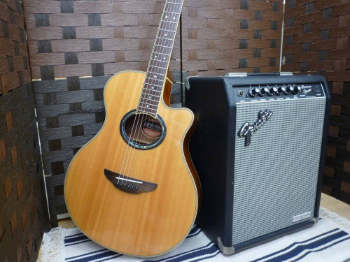 楽器・ホビー雑貨のギター