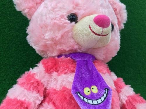 17年10月16日：画像６