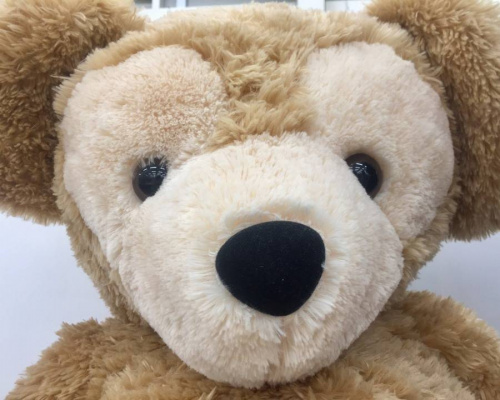 【美品】ダッフィー新Lサイズ　特大サイズ Lサイズダッフィーお迎えしました。 | Friend of Duffy