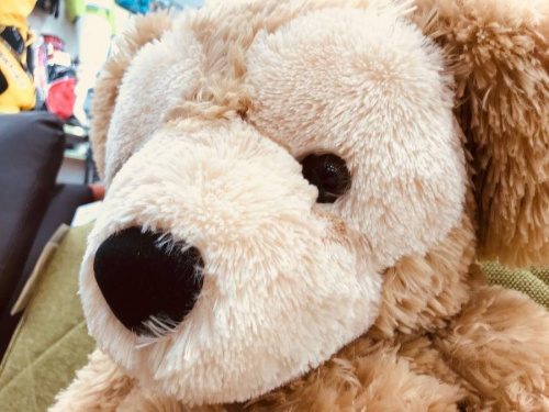 ホビーのディズニー