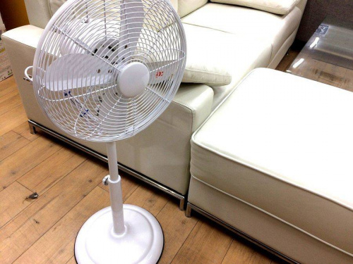 季節家電の扇風機