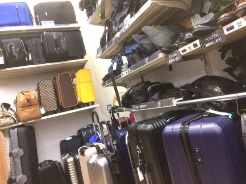 19年02月24日：画像６