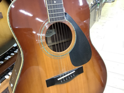 中古楽器　買取　大阪のギター　買取　大阪