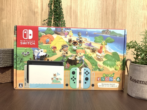 ホビーのNintendo Switch