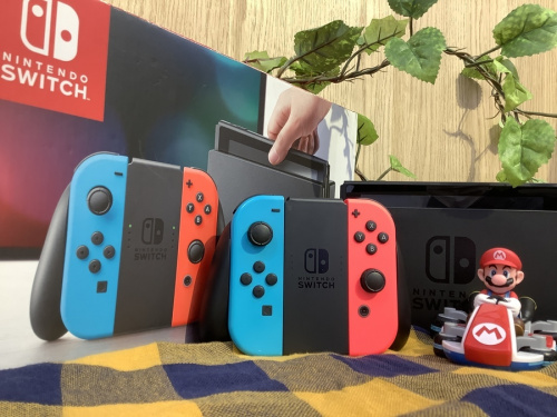 ホビーのNintendo Switch