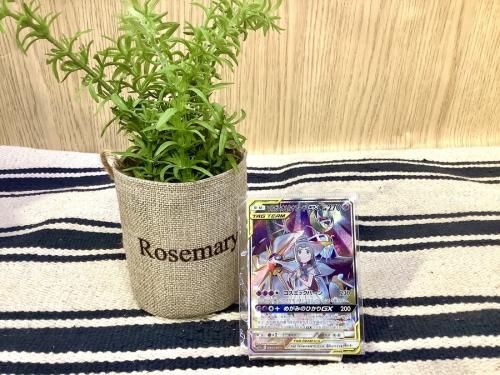 ポケモンカードのアイテム選択から選ぶ