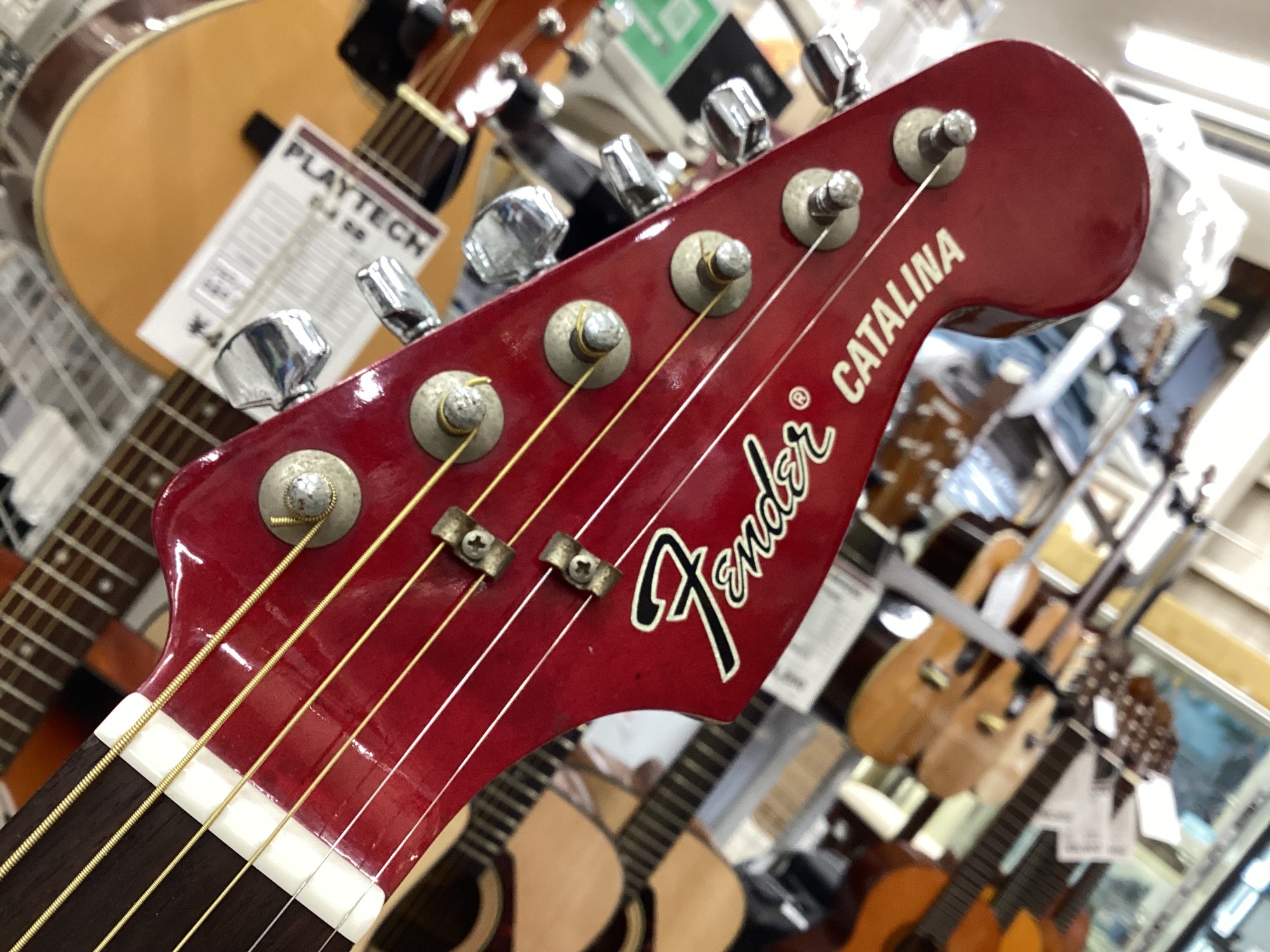 激レア】Fender CATALINA YC-38H 日本製 Fシリアル Fender Japan