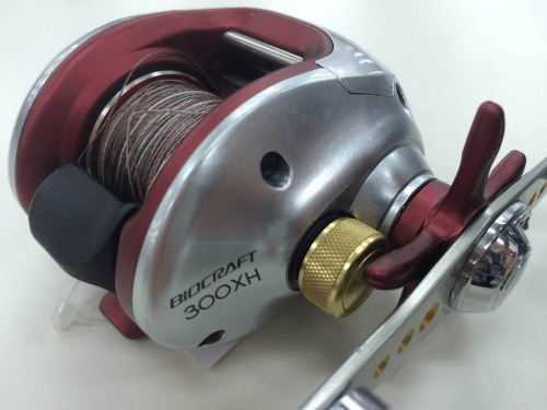 リールの越谷･春日部近辺スポーツ入荷情報