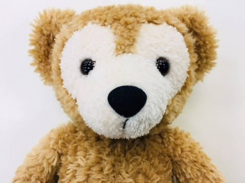 ディズニーのぬいぐるみ