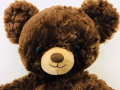 UNIBEARSITYの越谷