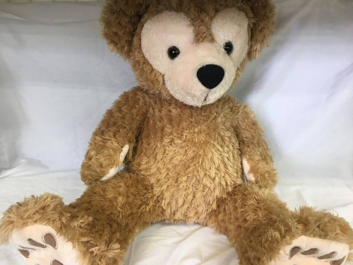 ヌイグルミのディズニー