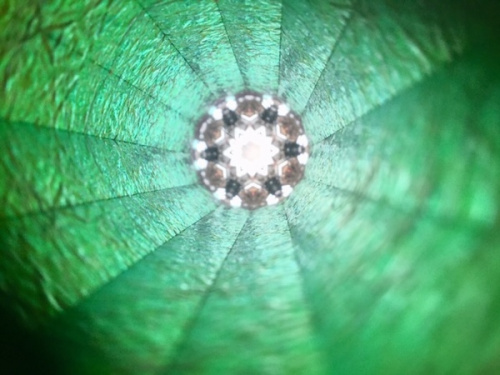 香蘭社の越谷　中古　買取