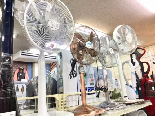 季節家電の扇風機