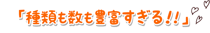 「種類も数も豊富すぎる！!」