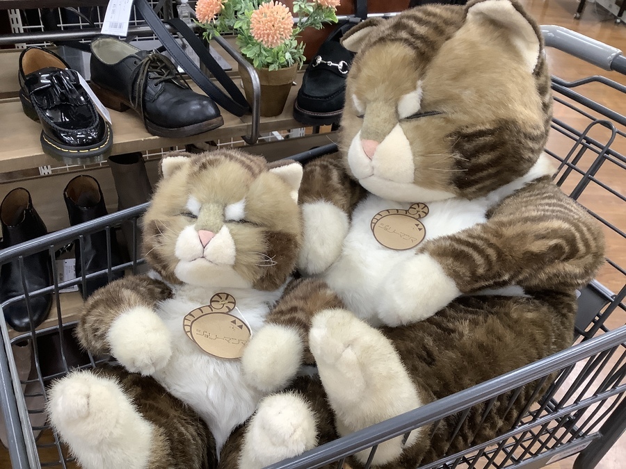 貴重なタグ付きのオリエンタルトーイ社のジョリーマンマ眠り猫が入荷 