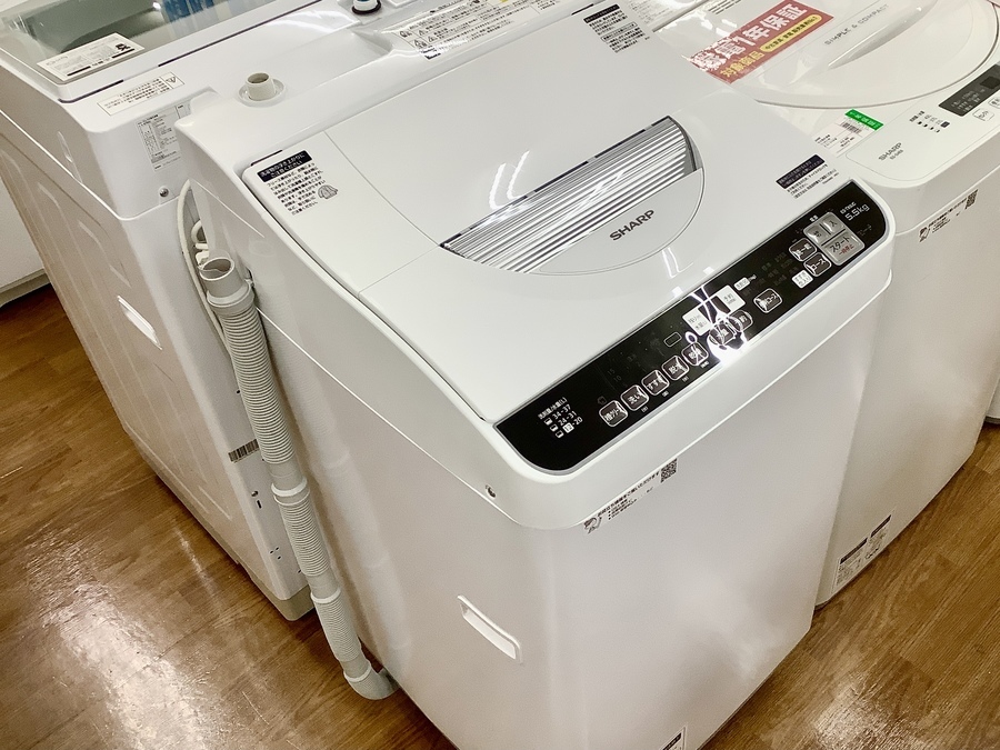 2カ月使用！ 2019年製 シャープ 5.5kg 洗濯機 ES-G55UC