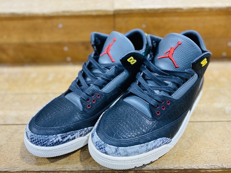 Air Jordan 3 Retro SE \