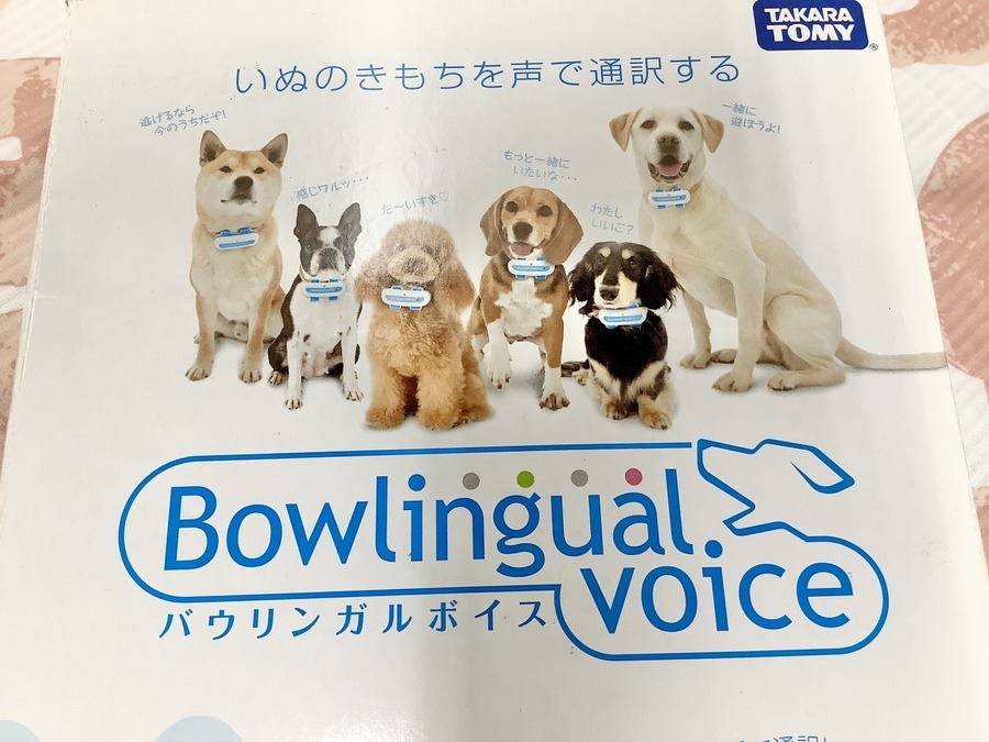 おもしろアイテム バウリンガル が入荷 犬とおしゃべりができるかも 武蔵村山店 21年03月06日