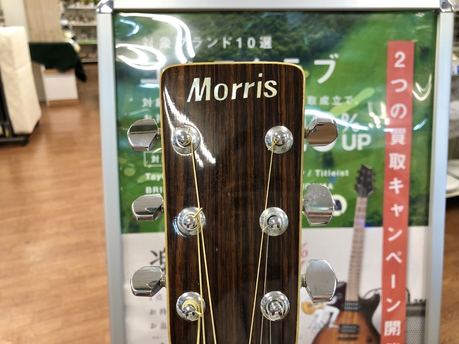 ジャパンヴィンテージ！Morris(モーリス)のアコースティックギターが