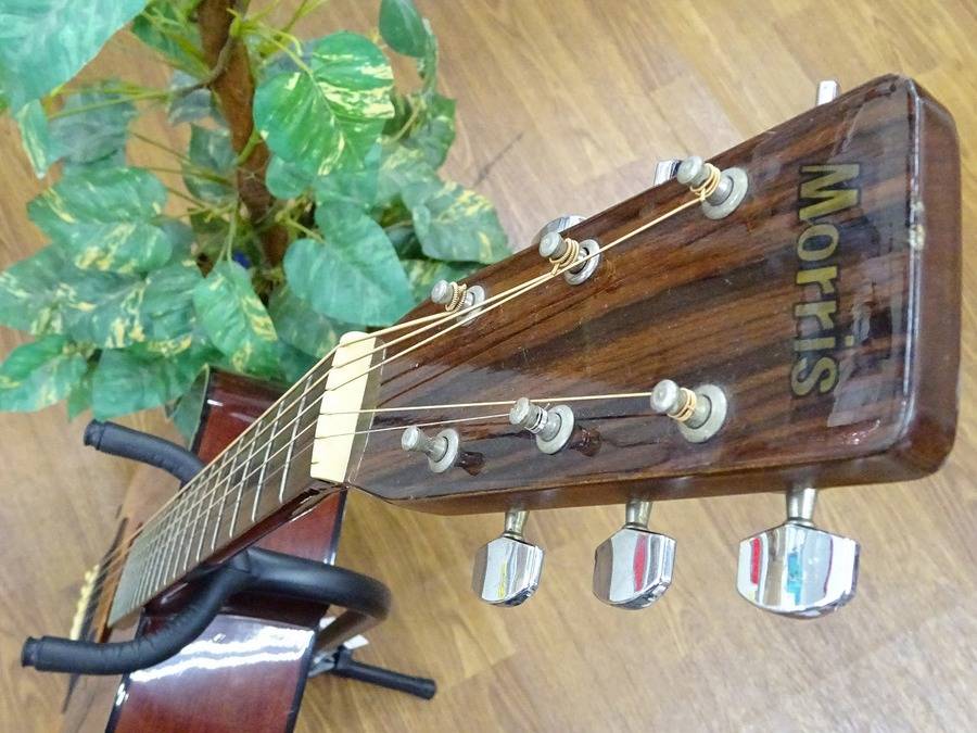 楽器買取強化！】MORRIS アコースティックギター MD-502ご紹介！｜2015
